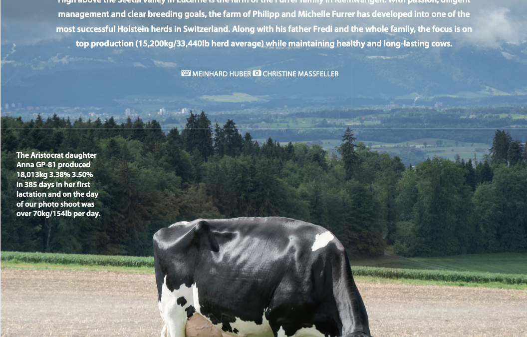 Furrer Holsteins: Produkce mléka na mezinárodní úrovni!